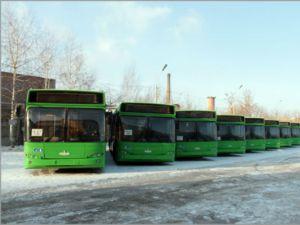 В Красноярске стартовали первые госзакупки по выбору перевозчиков на городских маршрутах