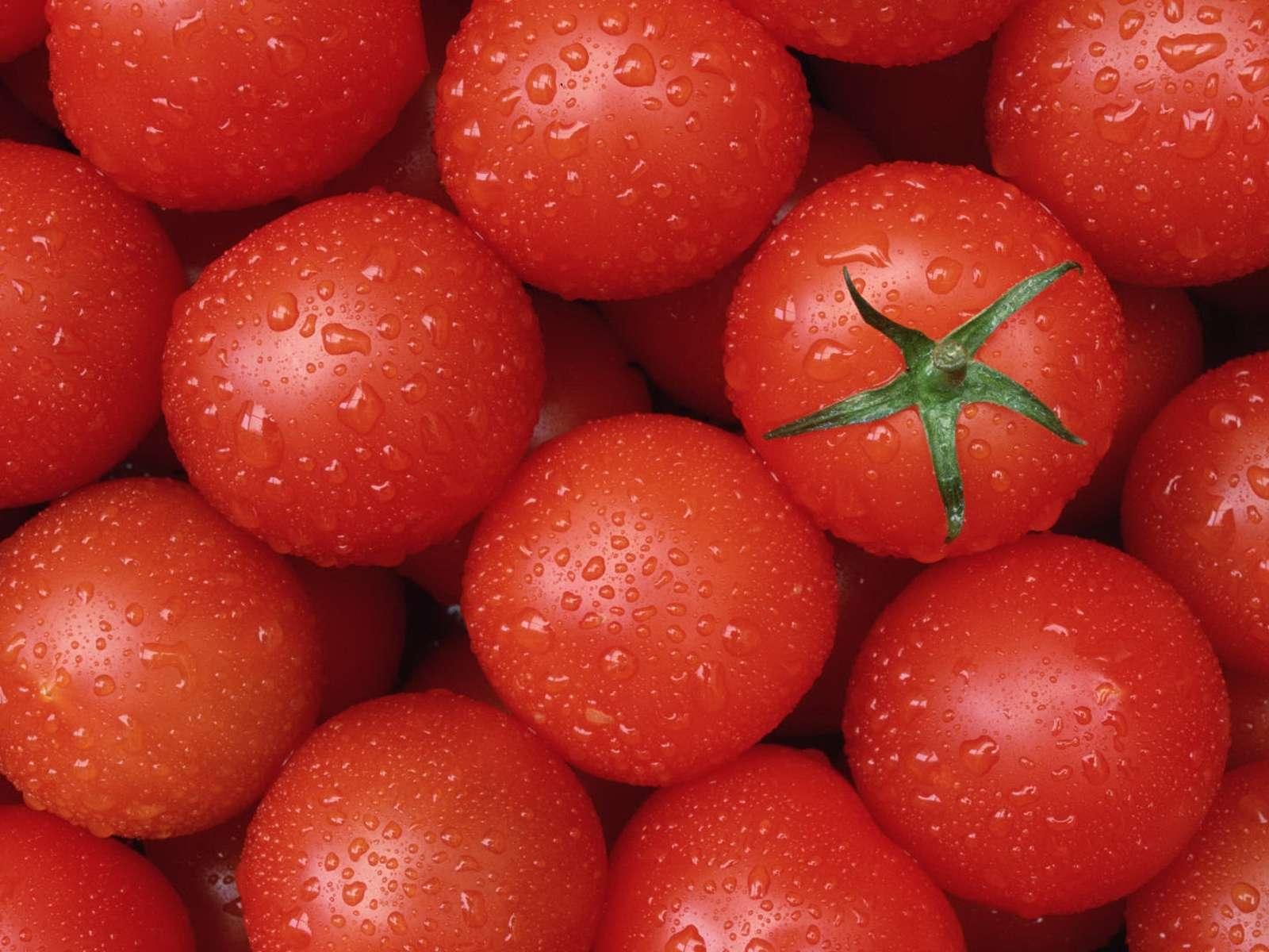 Турецкие помидоры не пустят на российский прилавок