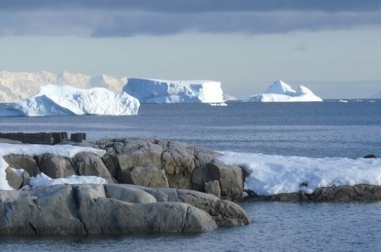 Для задач Российской антарктической экспедиции могут поправить закон о закупках
