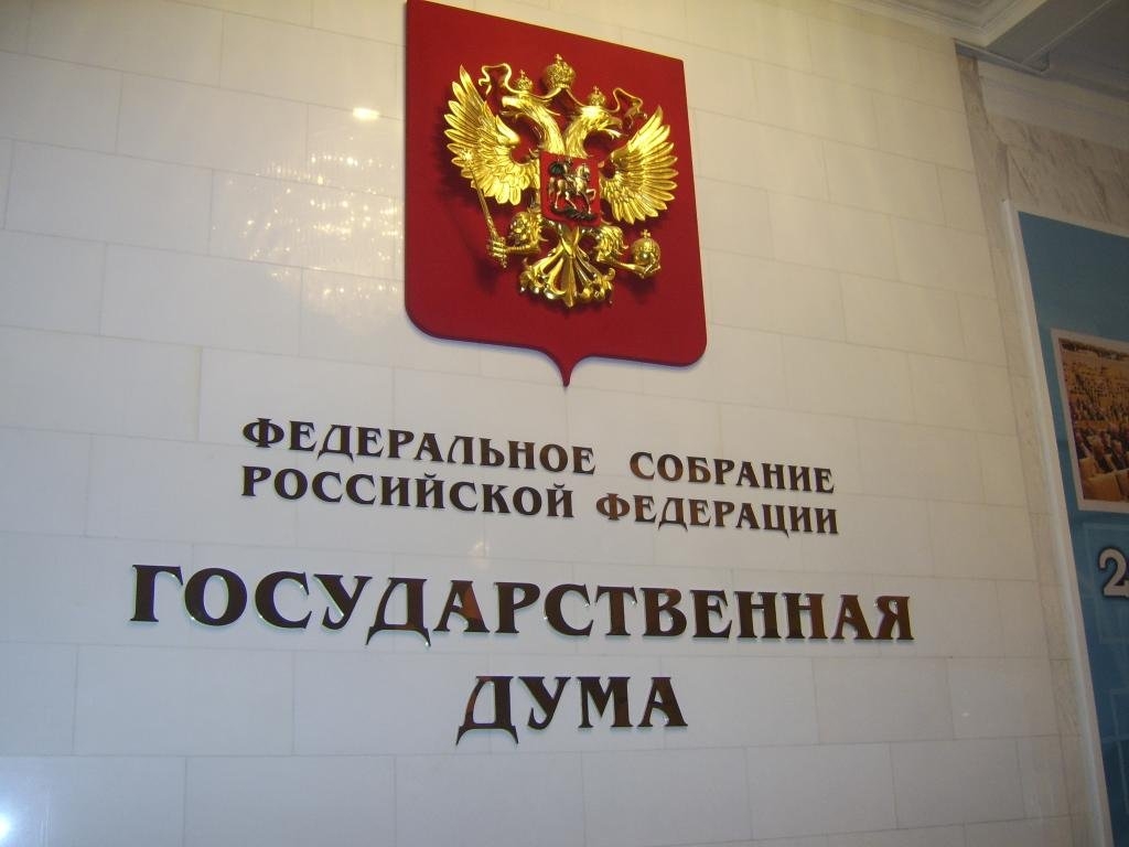 Дума приняла в I чтении поправки, расширяющие полномочия правительства РФ при одобрении импортных закупок госкомпаний
