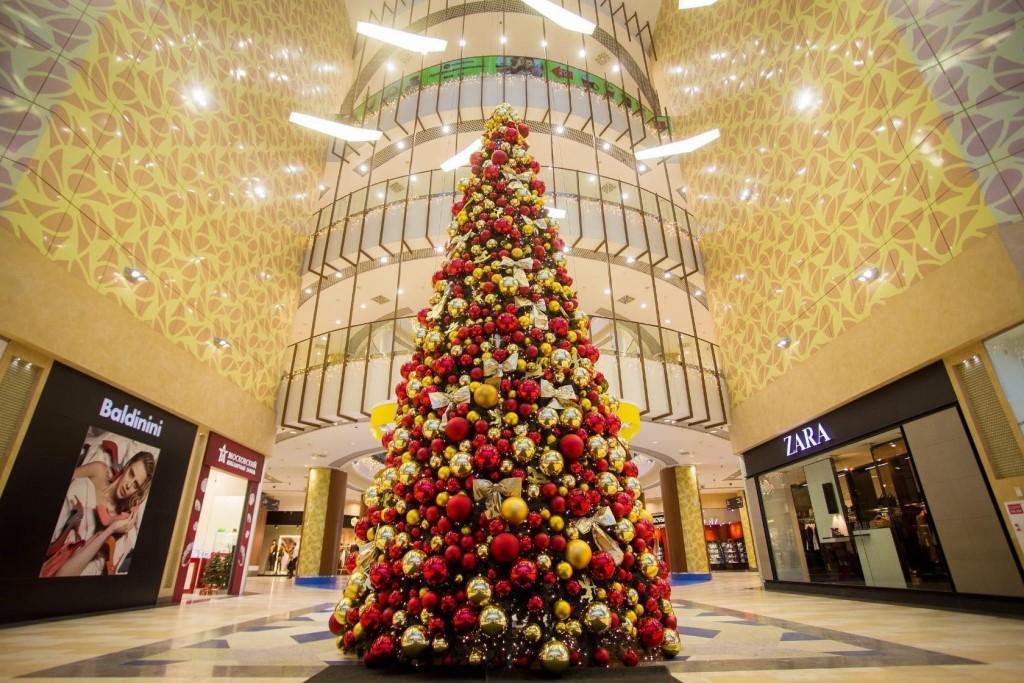 Казначейство нашло нарушения в закупке новогодних елок для Минобороны