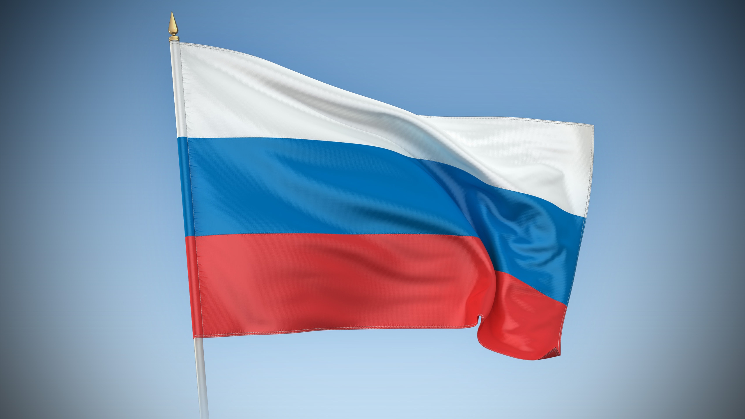 Установлены особенности осуществления госзакупок на территориях новых субъектов Российской Федерации