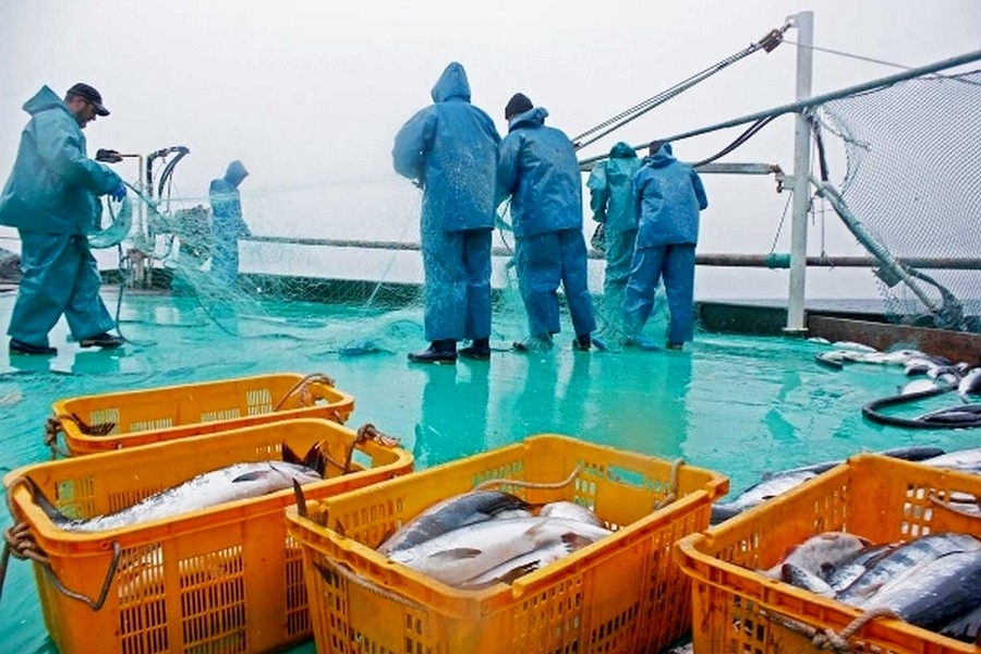 Госдума доработает законопроект об электронных аукционах в рыболовстве до конца апреля